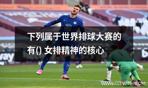下列属于世界排球大赛的有() 女排精神的核心
