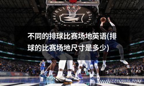 不同的排球比赛场地英语(排球的比赛场地尺寸是多少)