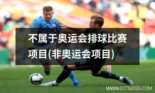 不属于奥运会排球比赛项目(非奥运会项目)