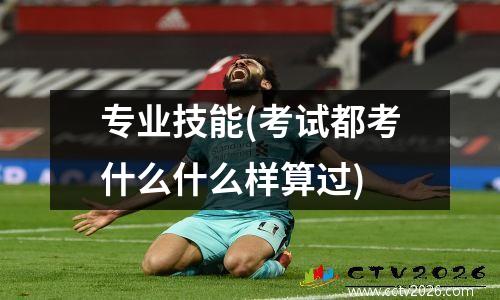 专业技能(考试都考什么什么样算过)
