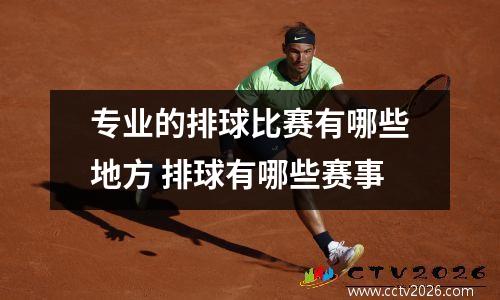 专业的排球比赛有哪些地方 排球有哪些赛事