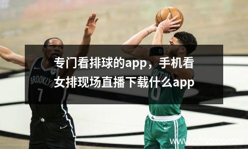 专门看排球的app，手机看女排现场直播下载什么app