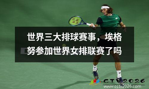 世界三大排球赛事，埃格努参加世界女排联赛了吗
