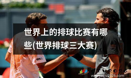 世界上的排球比赛有哪些(世界排球三大赛)