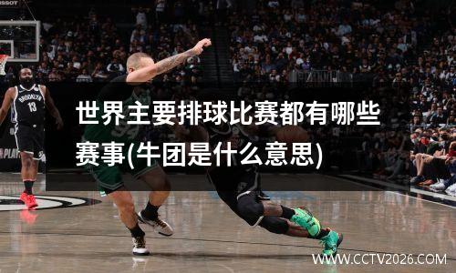 世界主要排球比赛都有哪些赛事(牛团是什么意思)