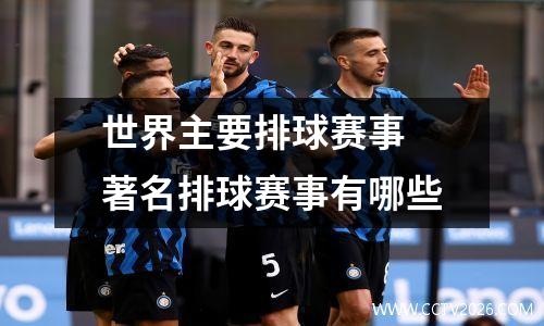 世界主要排球赛事 著名排球赛事有哪些