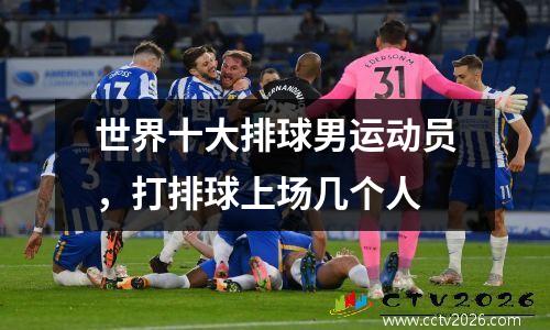 世界十大排球男运动员，打排球上场几个人