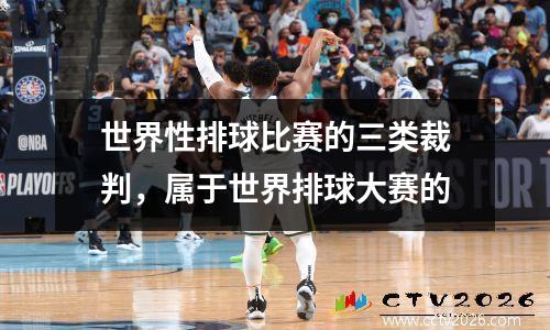 世界性排球比赛的三类裁判，属于世界排球大赛的