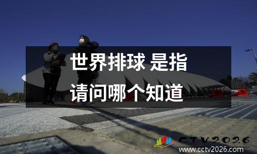 世界排球 是指请问哪个知道