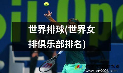 世界排球(世界女排俱乐部排名)