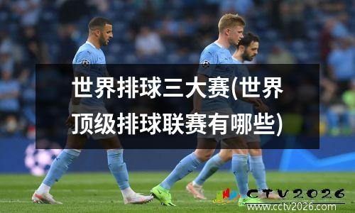 世界排球三大赛(世界顶级排球联赛有哪些)