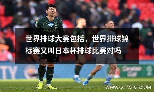 世界排球大赛包括，世界排球锦标赛又叫日本杯排球比赛对吗