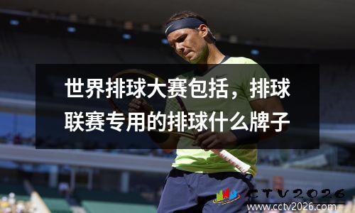 世界排球大赛包括，排球联赛专用的排球什么牌子