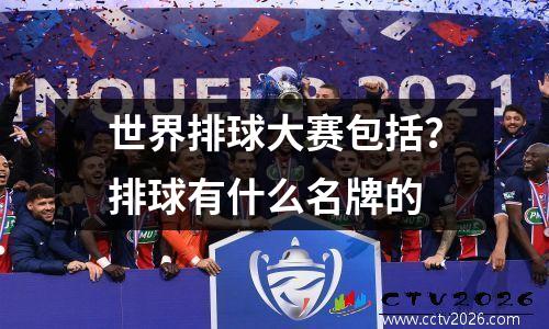 世界排球大赛包括？排球有什么名牌的