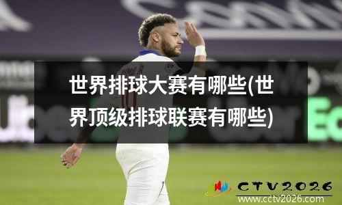 世界排球大赛有哪些(世界顶级排球联赛有哪些)
