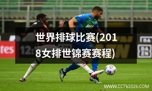 世界排球比赛(2018女排世锦赛赛程)