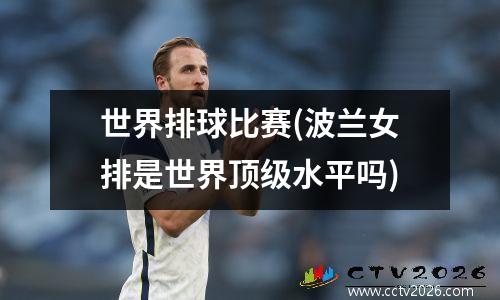 世界排球比赛(波兰女排是世界顶级水平吗)