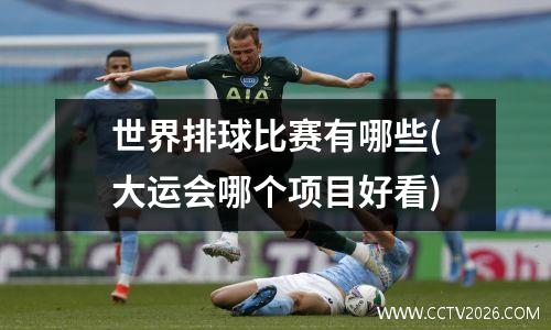 世界排球比赛有哪些(大运会哪个项目好看)