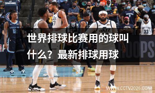 世界排球比赛用的球叫什么？最新排球用球