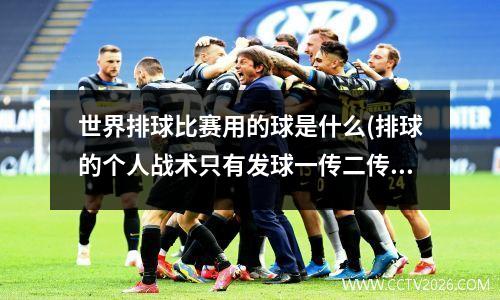 世界排球比赛用的球是什么(排球的个人战术只有发球一传二传)