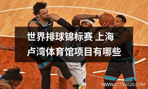世界排球锦标赛 上海卢湾体育馆项目有哪些