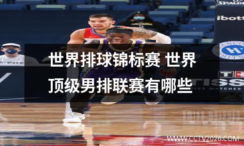 世界排球锦标赛 世界顶级男排联赛有哪些