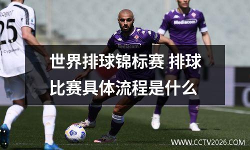 世界排球锦标赛 排球比赛具体流程是什么