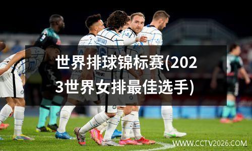 世界排球锦标赛(2023世界女排最佳选手)