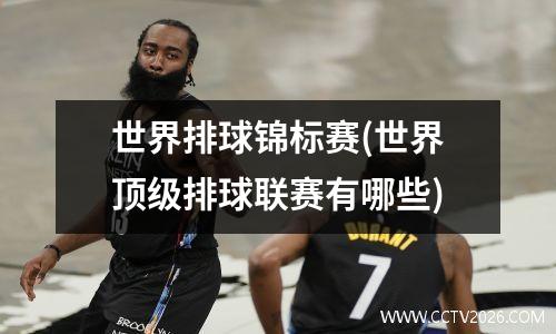 世界排球锦标赛(世界顶级排球联赛有哪些)