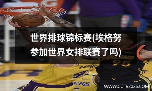 世界排球锦标赛(埃格努参加世界女排联赛了吗)
