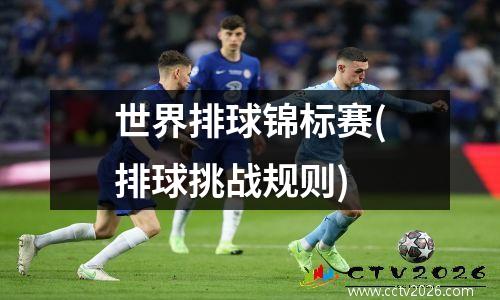 世界排球锦标赛(排球挑战规则)