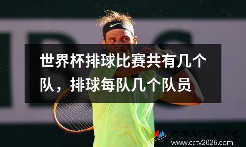 世界杯排球比赛共有几个队，排球每队几个队员