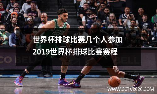 世界杯排球比赛几个人参加 2019世界杯排球比赛赛程