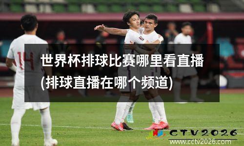 世界杯排球比赛哪里看直播(排球直播在哪个频道)