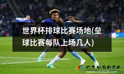世界杯排球比赛场地(垒球比赛每队上场几人)