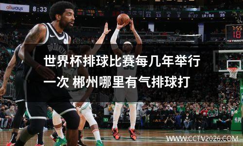 世界杯排球比赛每几年举行一次 郴州哪里有气排球打