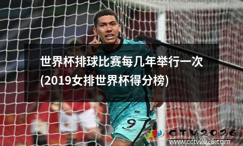 世界杯排球比赛每几年举行一次(2019女排世界杯得分榜)
