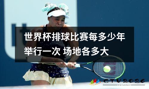 世界杯排球比赛每多少年举行一次 场地各多大