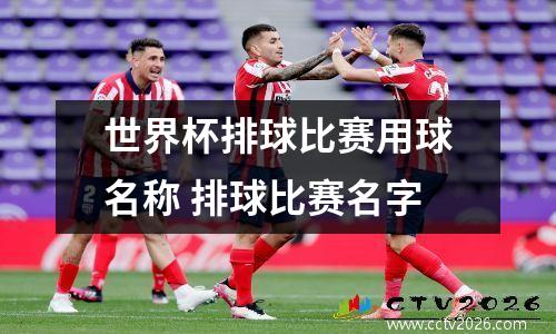 世界杯排球比赛用球名称 排球比赛名字