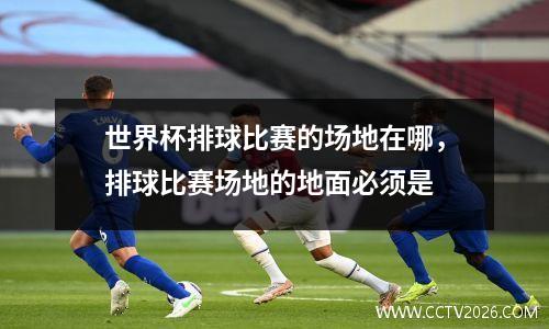世界杯排球比赛的场地在哪，排球比赛场地的地面必须是