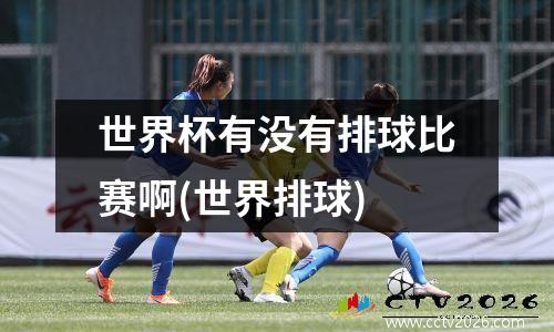 世界杯有没有排球比赛啊(世界排球)