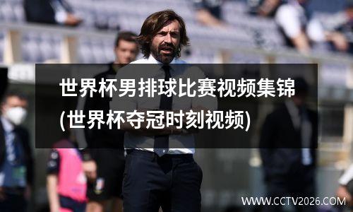 世界杯男排球比赛视频集锦(世界杯夺冠时刻视频)
