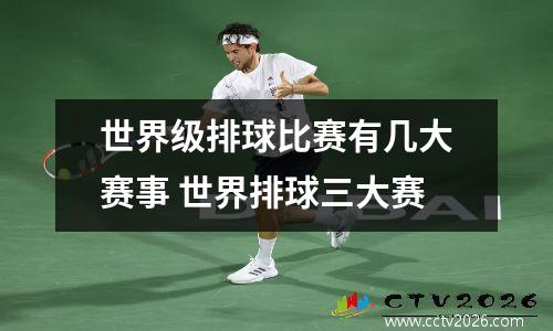 世界级排球比赛有几大赛事 世界排球三大赛