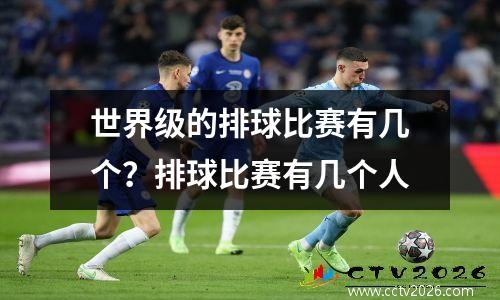 世界级的排球比赛有几个？排球比赛有几个人