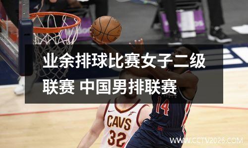 业余排球比赛女子二级联赛 中国男排联赛