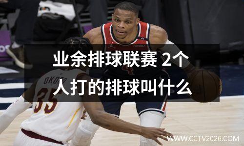 业余排球联赛 2个人打的排球叫什么