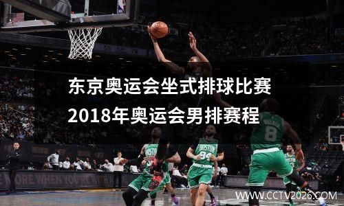 东京奥运会坐式排球比赛 2018年奥运会男排赛程