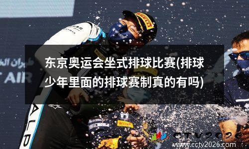 东京奥运会坐式排球比赛(排球少年里面的排球赛制真的有吗)