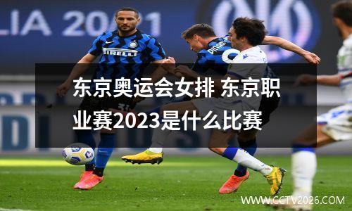 东京奥运会女排 东京职业赛2023是什么比赛