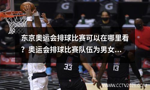 东京奥运会排球比赛可以在哪里看？奥运会排球比赛队伍为男女各12队